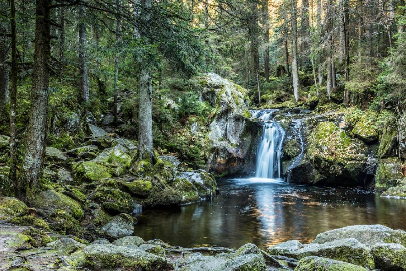 Mehr über den Artikel erfahren Reifes Wasser – Viktor Schauberger