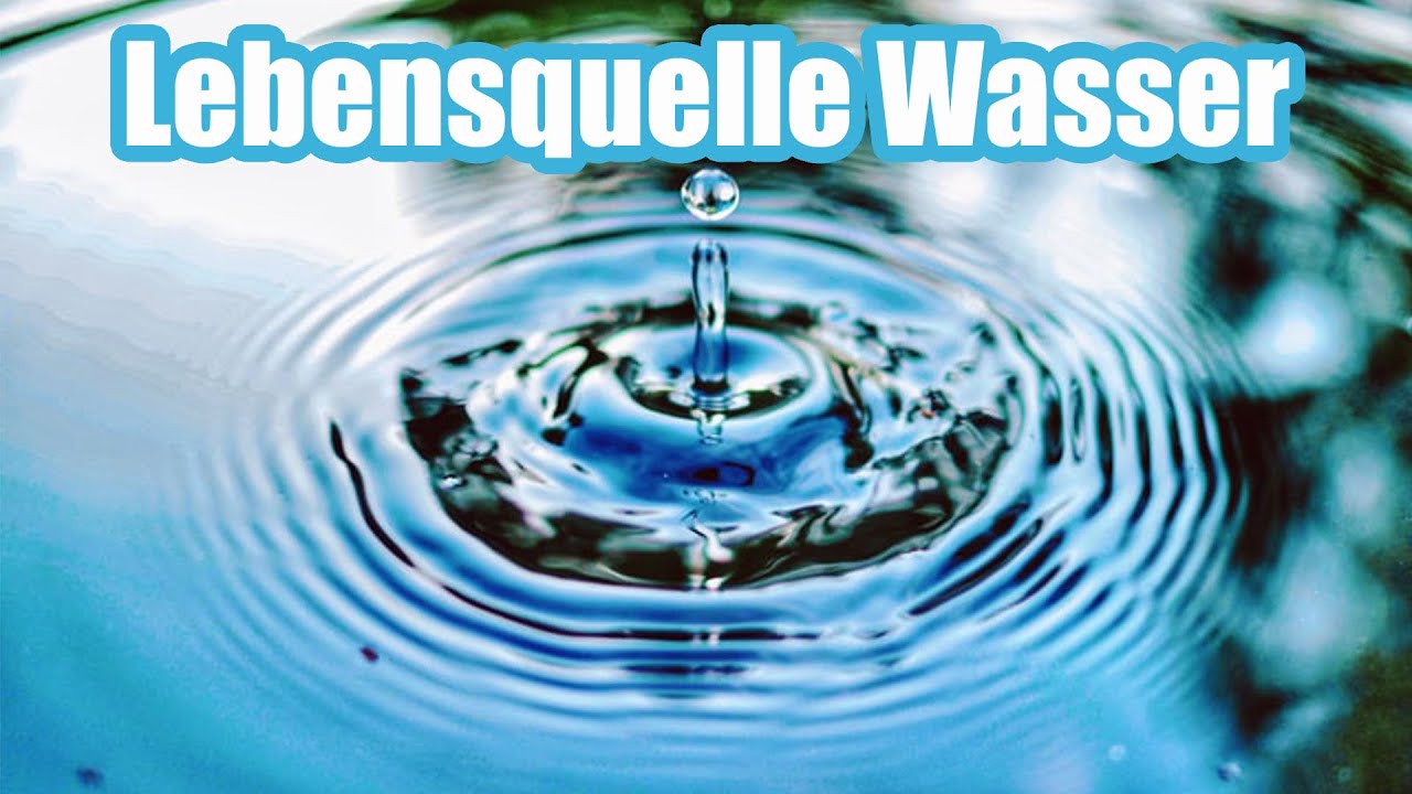 Mehr über den Artikel erfahren Wasser – die Quelle des Lebens