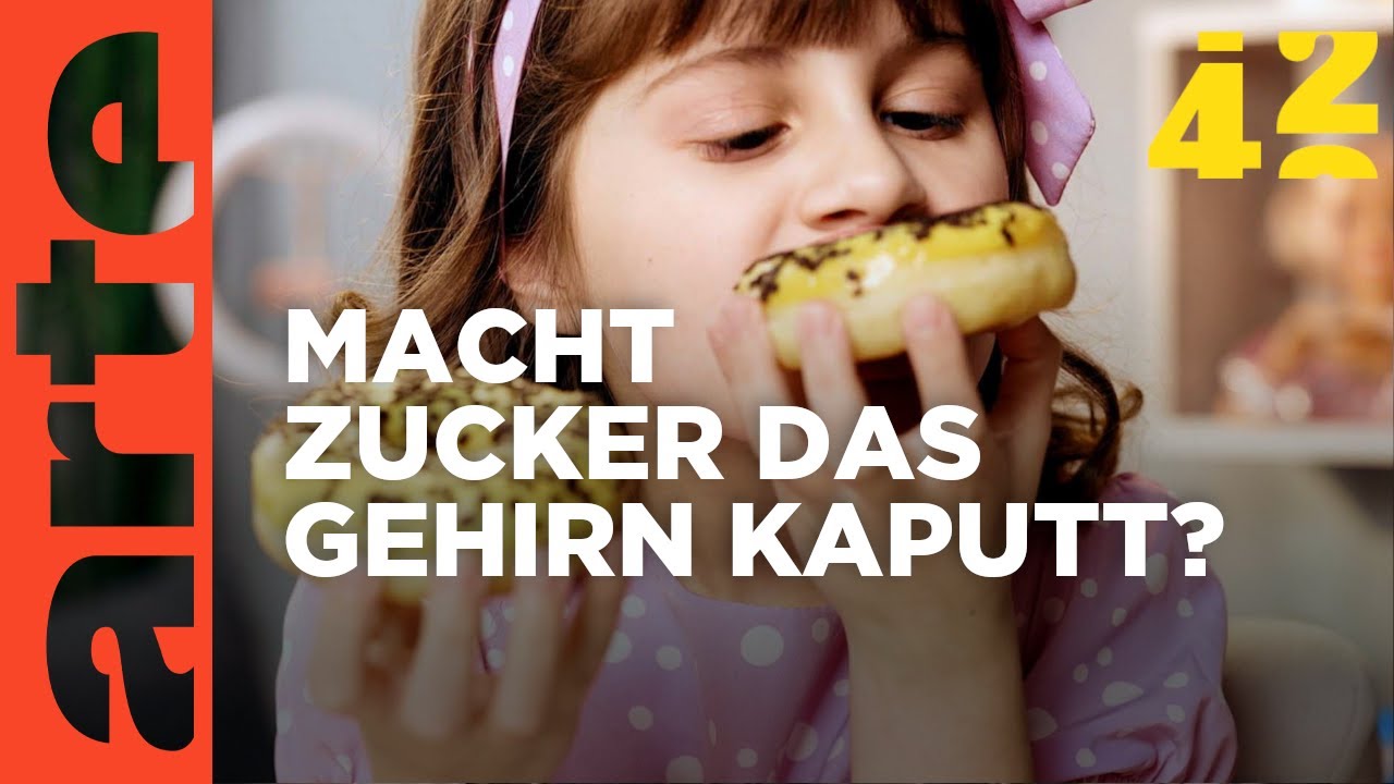 Mehr über den Artikel erfahren Macht Zucker dumm?