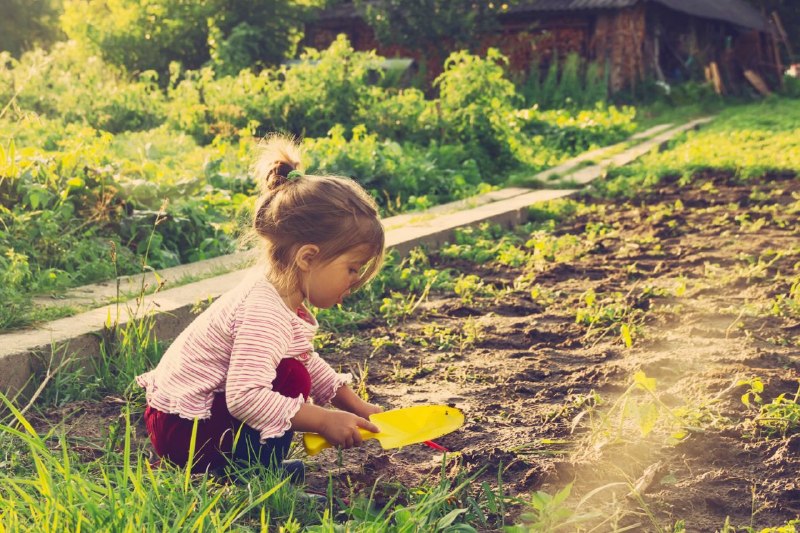 Mehr über den Artikel erfahren Hilf mir, es selbst zu tun – Maria Montessori